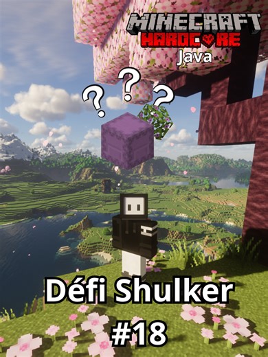 Défi Minecraft Hardcore : Remplir un Shulker de Feuilles