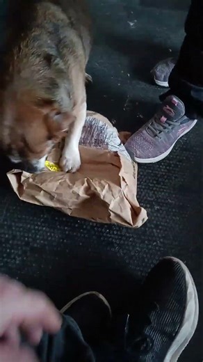 Ted helps open Amazon delivery 🚚