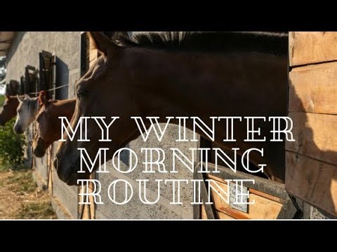 My winter morning routine! |SSO RRP