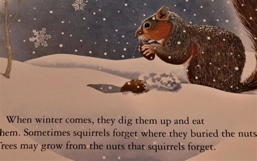 Animals in Winter - A Read With Me Book