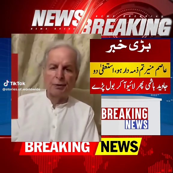 جیوید ہاشمی نے جنرل عاصم منیر کو ذمےدار قرار دے دیا