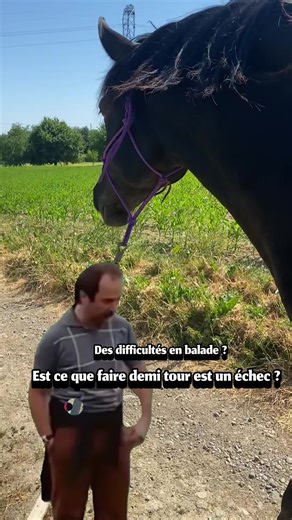 Faire demi-tour n’est pas un échec. C’est une information. Quand ton cheval dit « stop », il ne te teste pas, il t’enseigne. Aller trop loin, trop vite, dépasser ses limites, c’est prendre le risque d’entrer en zone rouge : 👉 stress, fuite, explosion… et souvent un retour précipité à l’écurie, seul. À l’inverse, rester dans la zone de confort, puis s’approcher progressivement de la zone orange, c’est là que l’apprentissage se fait. Un pas de plus aujourd’hui. Deux pas demain. Et surtout : un ch