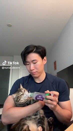 Cat Asthma: Symptoms, Treatments, and Care Tips