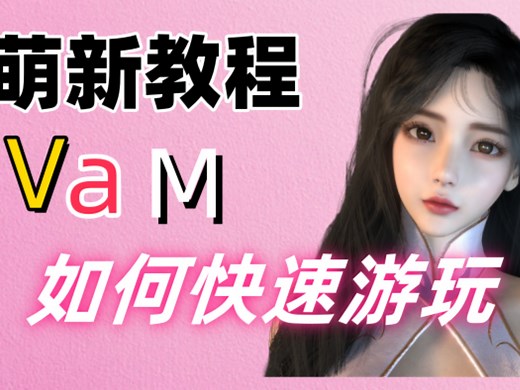 Vam快速游玩教程