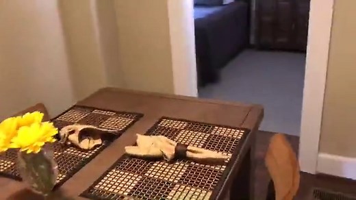 Stewart Cabin - Tobacco Road Golf & Travel