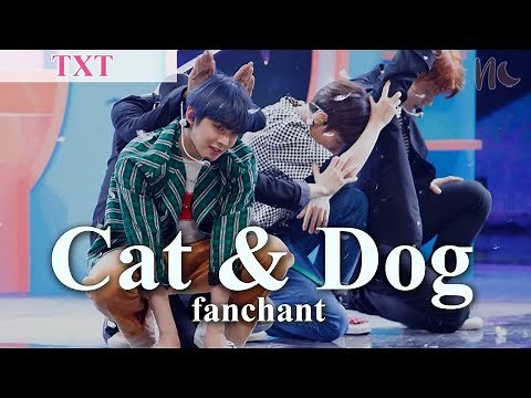 (Rom/Eng) TXT - 'Cat & Dog' Lyrics + FANCHANT