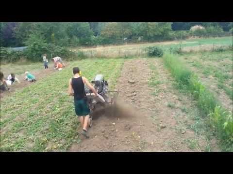 Kartoffeln ernten mit Holder E12 und Agria 2400, 3400, 3600