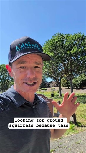 Rodeo California, The gophers got to go!