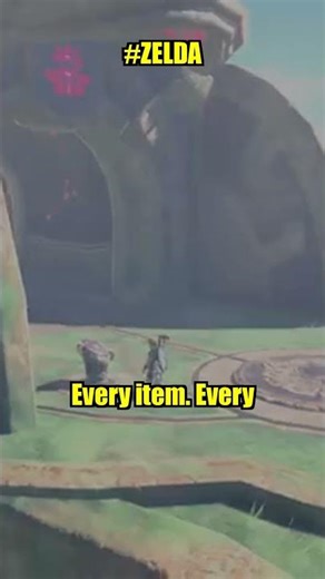 🏆 Zelda's IMPOSSIBLE World Records Explained #Shorts