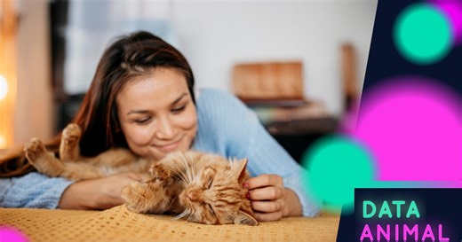 Qué es la biodescodificación y por qué puede ser una herramienta en el bienestar de los animales de compañía
