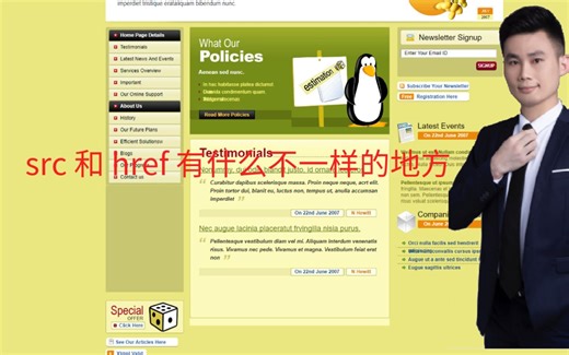 🌟探秘HTML：src和href 属性的秘密 🌟