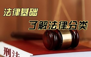 揭开法律的神秘面纱：了解法律基础知识