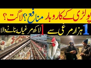 Control shed poultry farming in Pakistan | Layer farming 2024 | Layer hen farming