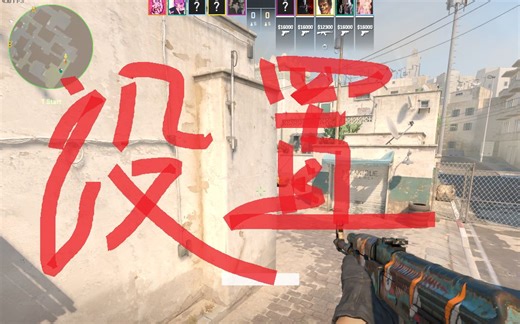 CS2设置，供参考