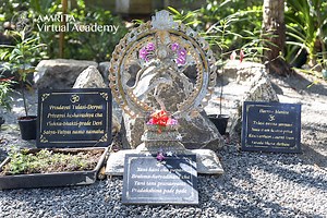 The Mother in Nature - Amrita Virtual Academy