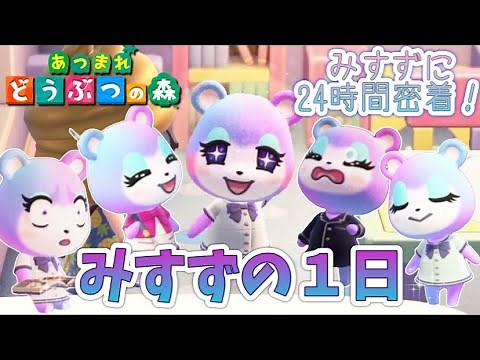 【あつ森】みすずの1日！24時間密着してみたらミラクルすぎた【あつまれどうぶつの森】【Animal Crossing】