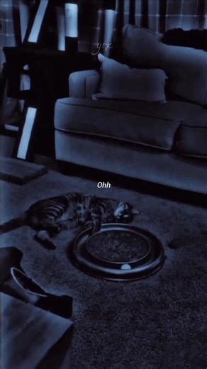 Explore Powerful YRX Lyrics for Spotify Lovers