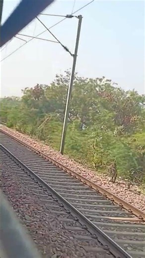 avadh express cpj vapi