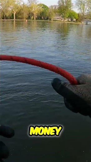 Caught Alex's Magnet: A Hilarious Surprise! #shorts