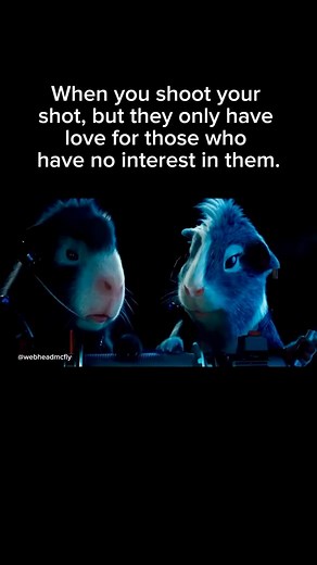 Some just love the chase. 😉😁😂 Media Source: “G-Force” (2009) • • • • #gforce #disneyanimation #disneypictures #funnyanimation #relatable #lovehumor #flirting #flirtingmemes #datinghumor #coupleshumor #relationshiphumor #friendshiphumor #friendzone #funnyanimals #newtrending #playinghardtoget #hardtoget #lovestinks #zachgalifianakis #tracymorgan #penelopecruz #nicolascage #samrockwell #stevebuscemi #lovegame #funnyreels #datingtoday #4upage | Mike Walsh