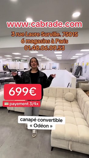 Canapé Convertible Odéon à 699€ - Livraison Partout en France