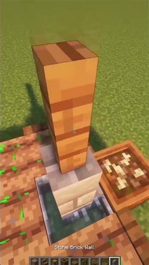Minecraft Small Rustic Farm #minecraft #minecrafttutorial #minecraftbuilds #minecraftcommunity