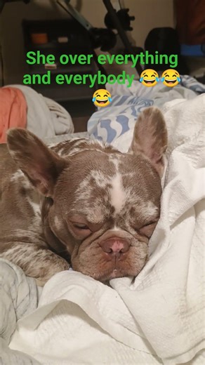 she so not having it #lifefacts #comedy #dothingsyoudontwanttodo #funny