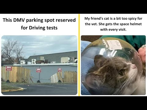 Memes I found on the internet - Ep.8 | This DMV parking spot reserved for Driving tests
