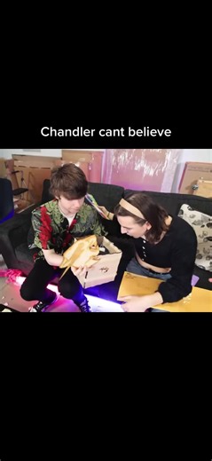 #chandler #whathappendtochris #chris #chrismrbeast #mrbeastgaming