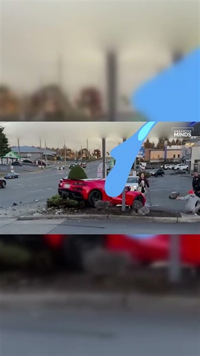 Corvette C8 Down: A Million-Dollar Mistake!