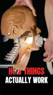 How Things Actually Work #25