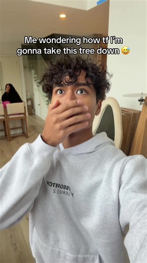 I didn’t think this through 😃 #15ftchristmastree #bigchristmastree #balsamhilltree #balsamhillchristmastree