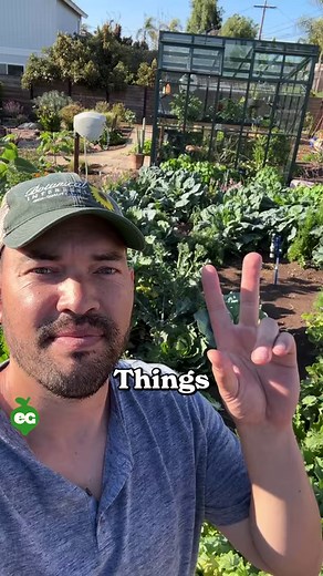 6.8M views · 164K reactions | If you're behind on starting seeds,...