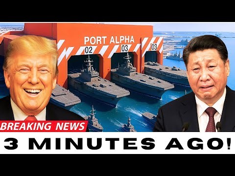 Port Alpha: The US Navy’s Secret Shipyard That SHOCKED China!