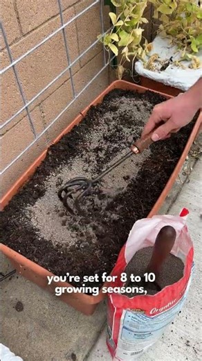 With EarthBox, container gardening is simple, productive, and budget-friendly 🌱💸 #containergardening