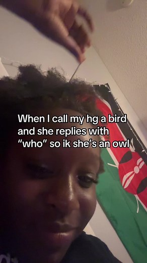 ty_. (@ty_8721)’s video of bird meaning
