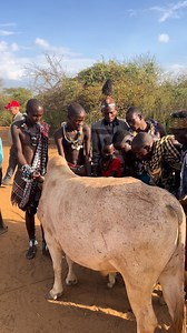 142K views · 732 reactions | Journey into the heart of Ethiopia’s Omo Valley. Witness the Hamer Tribe’s Bull Jumping ceremony — a traditional rite of passage marking a young man’s transition into adulthood. A celebration of courage, community, and heritage. ❤️” #TravelEthiopia #DeguEthiopiaTours #omovalley @highlight Degu Ashenafi @omotripethiopia | Degu Ashenafi | Facebook