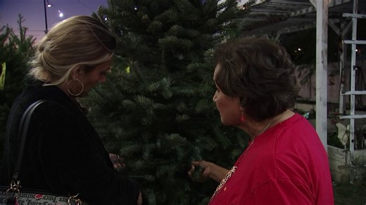 Phoenix Christmas tree lot celebrates 40 years of family tradition