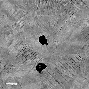 18 reactions | Achieve excellent channeling contrast at 600°C : For...