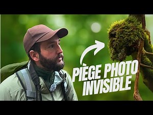 PHOTOGRAPHIE ANIMALIÈRE - PIÈGE PHOTO, LOUP ET VOL D'UNE CAMERA