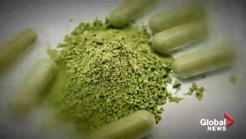 The dangers of using Kratom