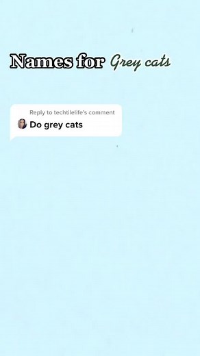 Reply to @techtilelife grey cats! #fyp #foryou #foryoupage #cats #catsoftiktok #grey #greycats #catnames
