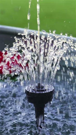 No yard, no pond? Not true!