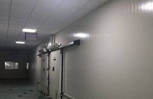 [Hot Item] Xingx Portable Walk-in Freezer Cold Storage for Medicine