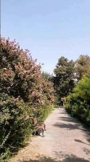 🌳 "Tehran City Park – A Peaceful Walk Through Nature in Iran 🇮🇷"