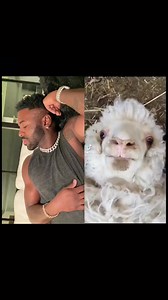 926K views · 10K reactions | Ahhh @theAWSOMavenger@jasonderulo | Jason Derulo | Facebook
