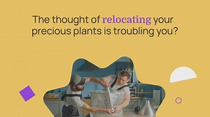 Move your valuable plants securely with packers and movers: