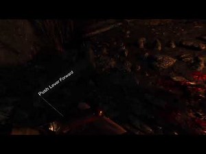 Lone Wolf plays re4 vr