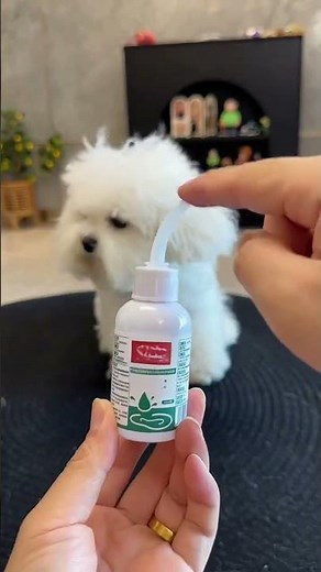 Stop Dog Ear Scratching Now! Cheap Ear Cleaning Hack #dog #pet