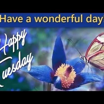 Good morning tuesday images !! best good morning flowers images